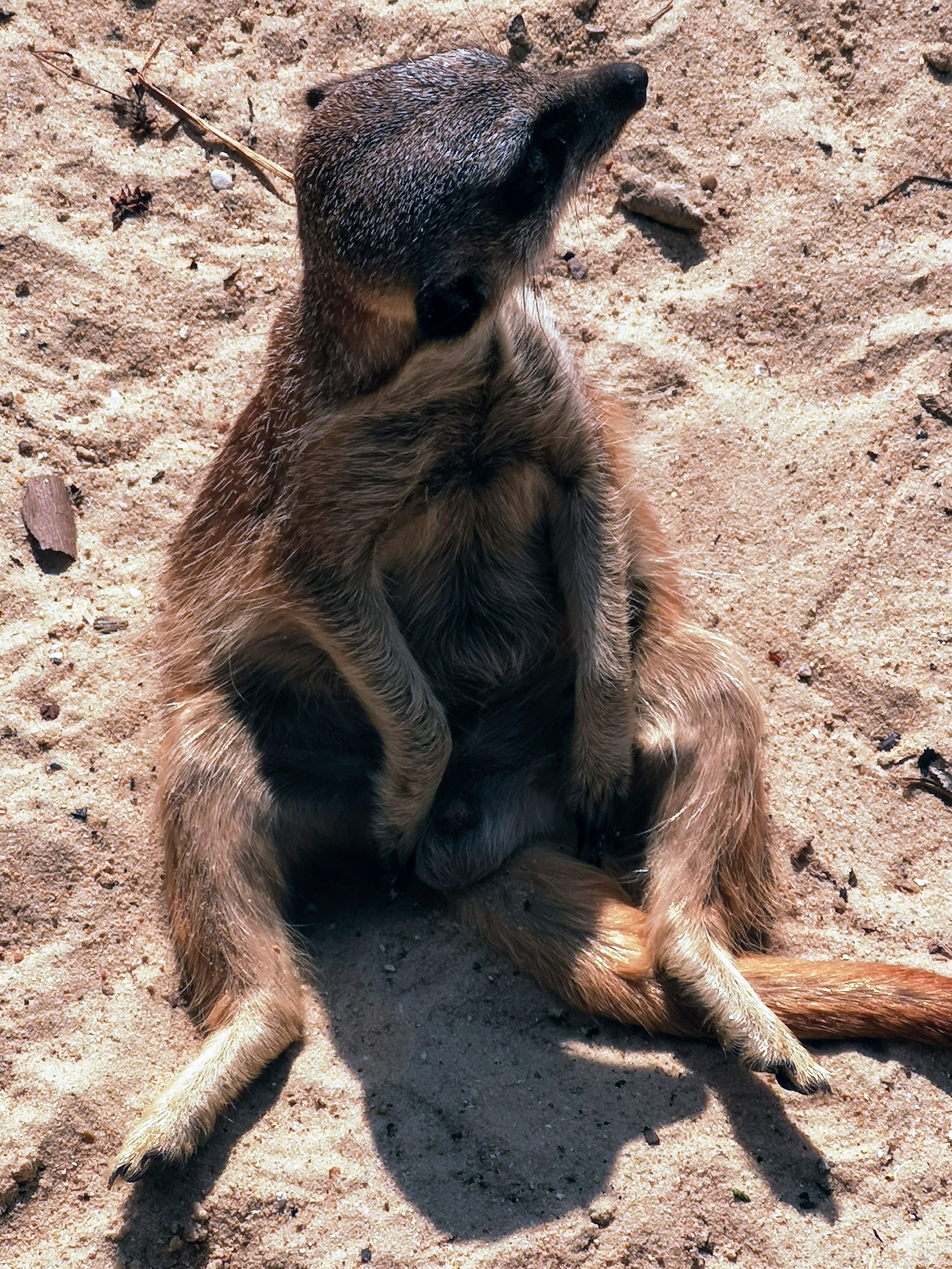 Photo n° 19 de l'avis de Bryan.r fait le 24/04/2018 à 19:19