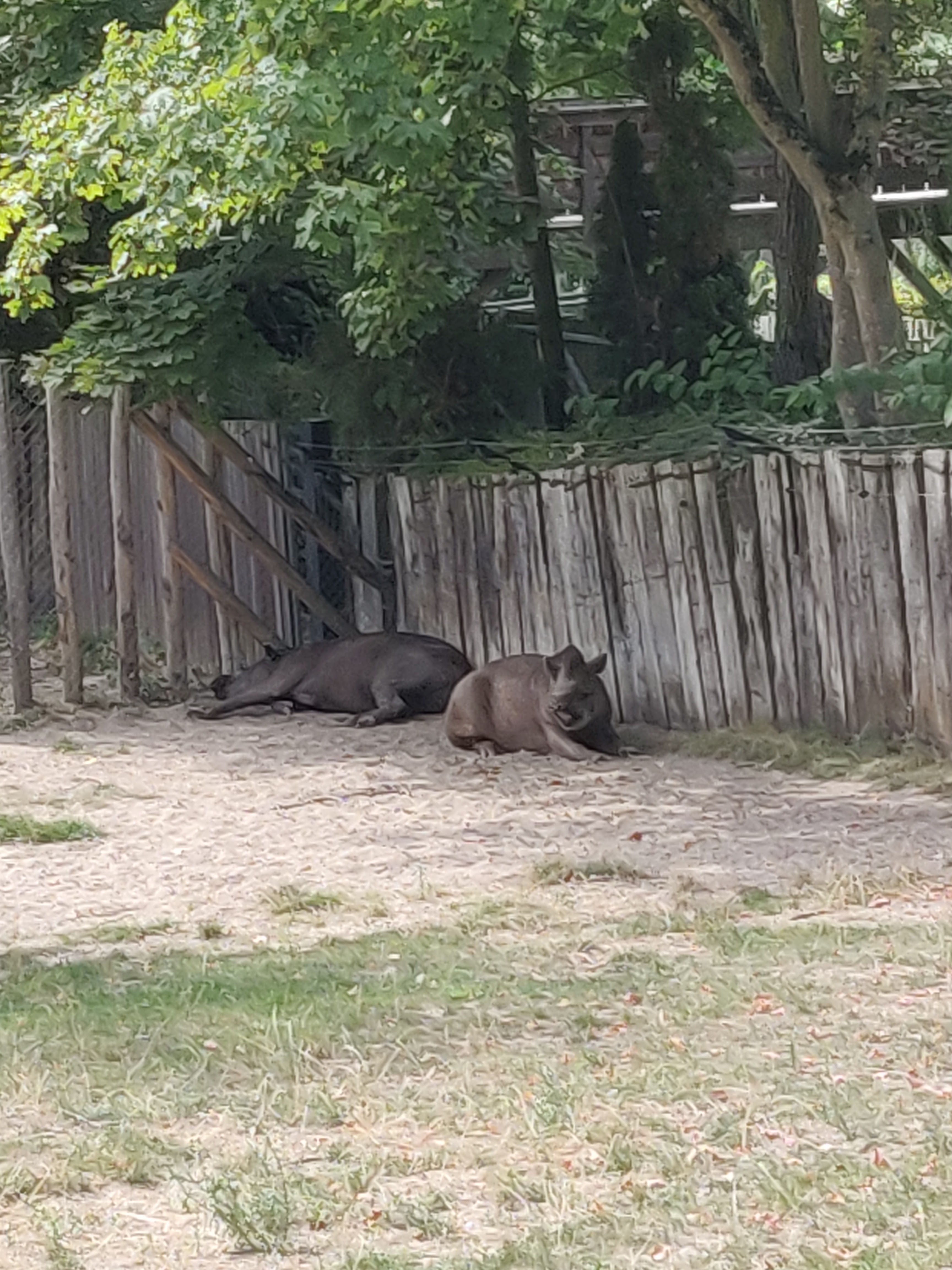 Photo n° 43 de l'avis de Amélie.e fait le 31/08/2019 à 17:39
