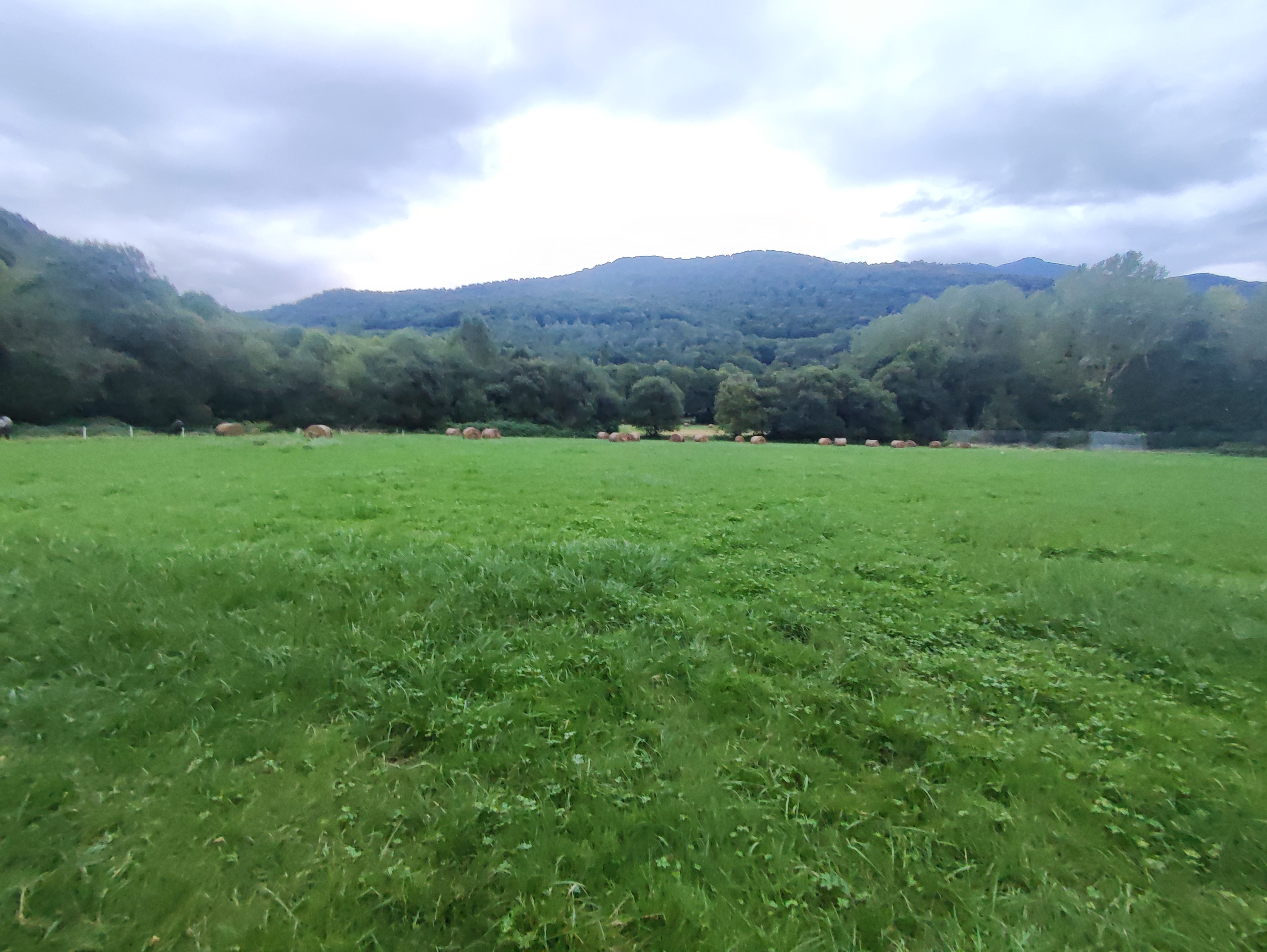 Photo n° 12 de l'avis de Xavier. fait le 18/09/2023 à 13:49