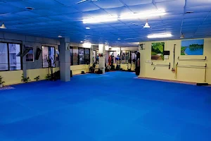 Athletic Mind Academy Fitness Yoga Martial Arts Centre Kochi image