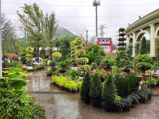 Viveros Valle Alto – Monterrey