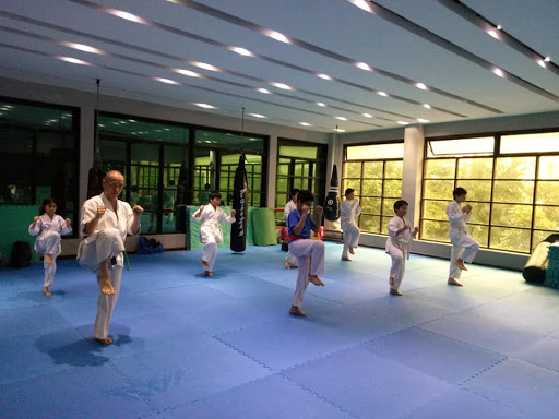 Shinkyokushin Karate Vietnam