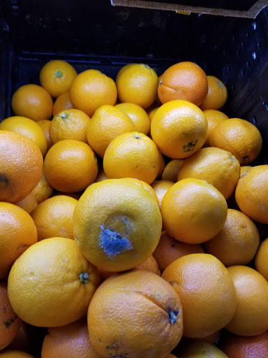 Supermarket «La Isla Supermarket», reviews and photos, 9722 US-192, Clermont, FL 34714, USA