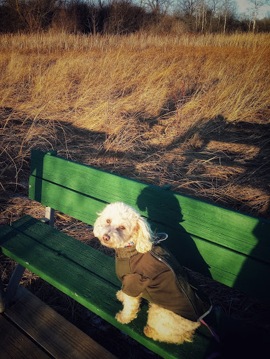 Nature Preserve «Kishwauketoe Nature Conservancy», reviews and photos, 251 Elkhorn Rd, Williams Bay, WI 53191, USA