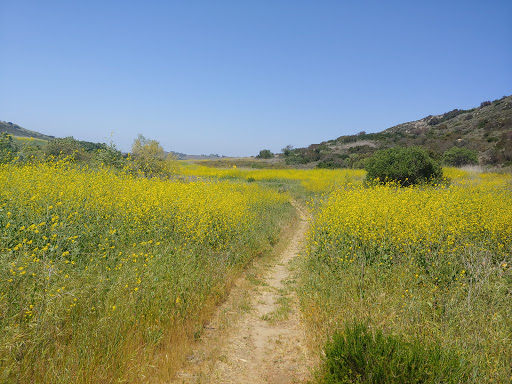 Turtle Ridge Trailhead