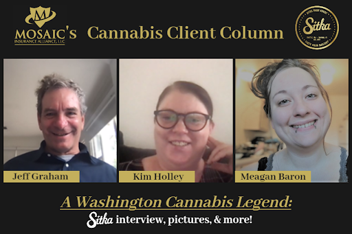 Insurance Agency «Mosaic Insurance Alliance LLC», reviews and photos