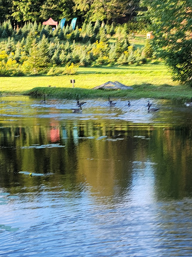 Outdoor Sports Store «Maple Hill Disc Golf», reviews and photos, 132 Marshall St, Leicester, MA 01524, USA