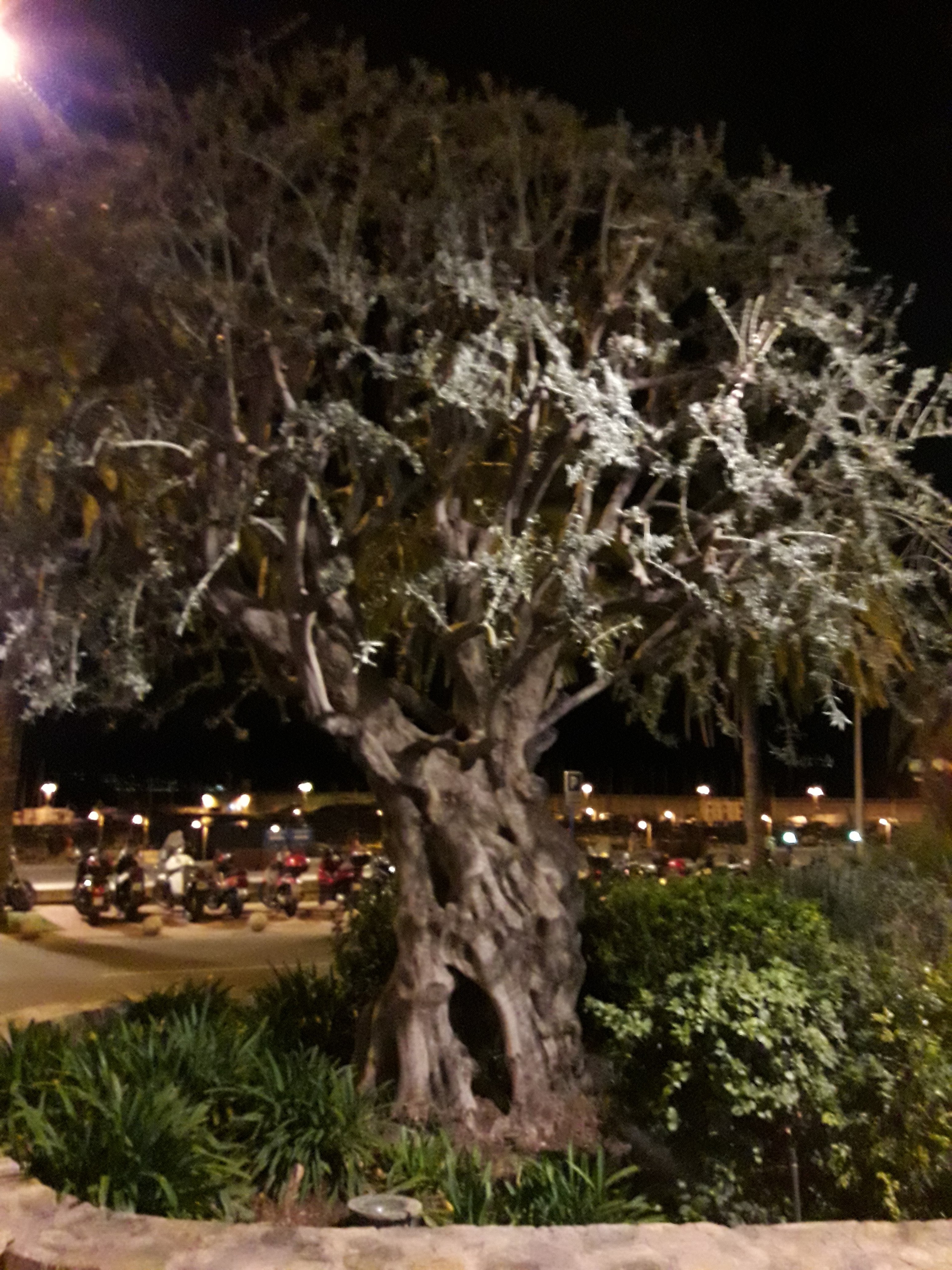 Photo n° 26 de l'avis de Stefe. fait le 25/02/2018 à 00:05
