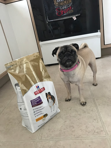 Pet Store «Petland Topeka», reviews and photos, 1801 SW Wanamaker Rd, Topeka, KS 66614, USA