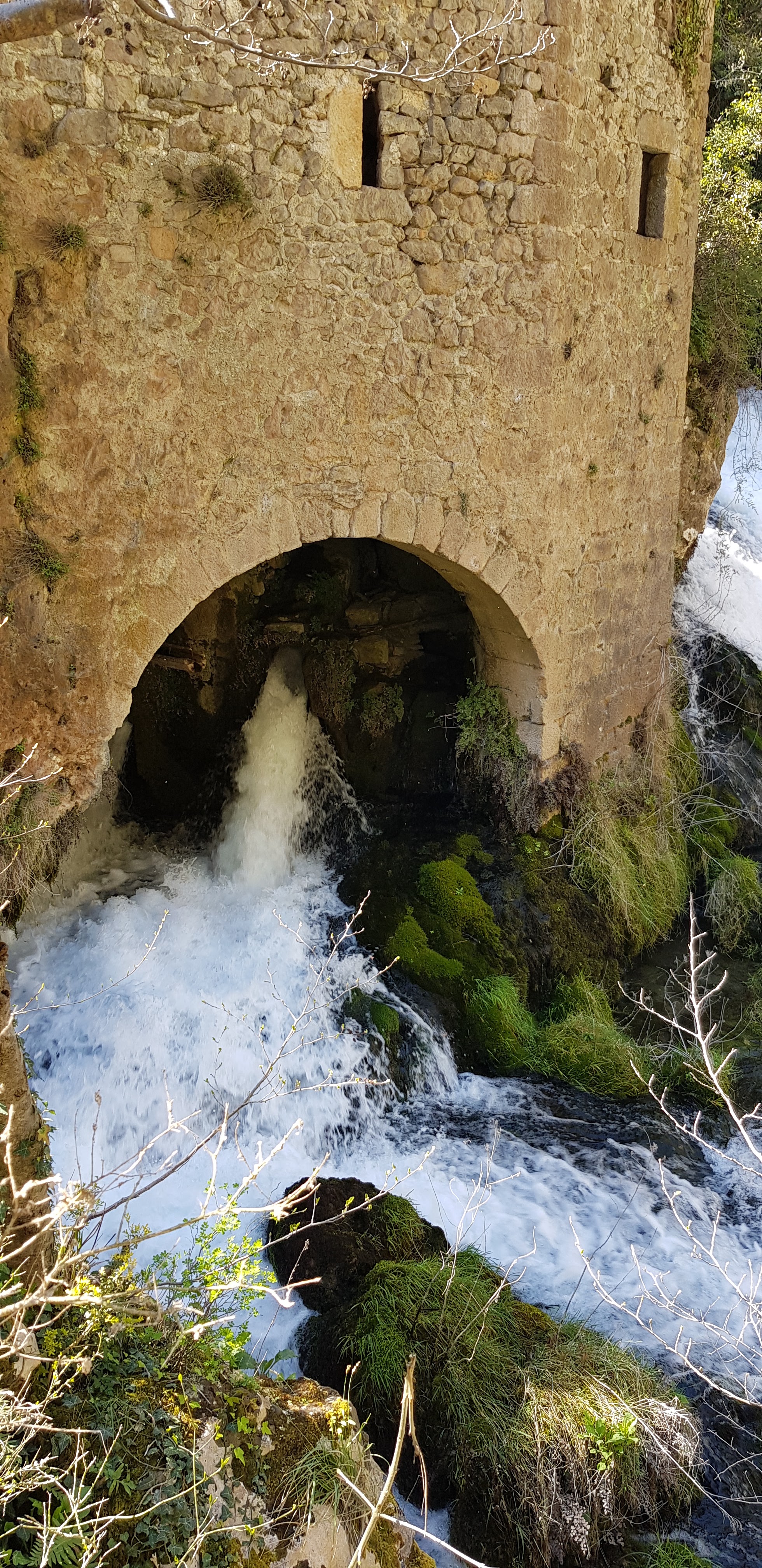 Photo n° 5 de l'avis de waiki972. fait le 29/03/2021 à 14:23