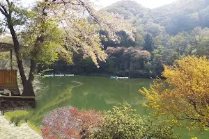 Daiichi Mase Lake image