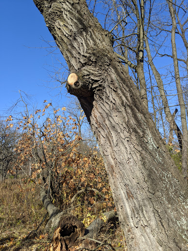 Learning Center «Sagawau Environmental Learning Center», reviews and photos, 12545 111th St, Lemont, IL 60439, USA