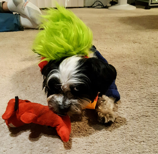 Pet Supply Store «Petco Animal Supplies», reviews and photos, 1919 El Camino Real, Mountain View, CA 94040, USA