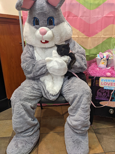 Pet Supply Store «PetSmart», reviews and photos, 4300 E Alameda Ave, Glendale, CO 80246, USA