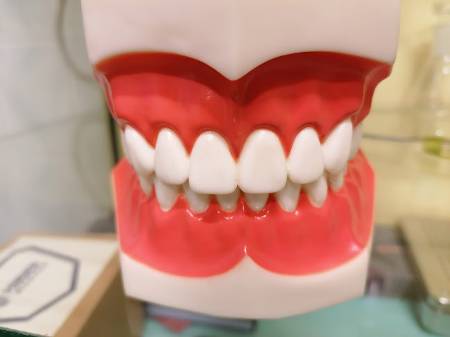 Hozzászólások és értékelések az Dr. Fog Bt. fogászat - Dr. Suta István fogorvos, szájsebész--ról