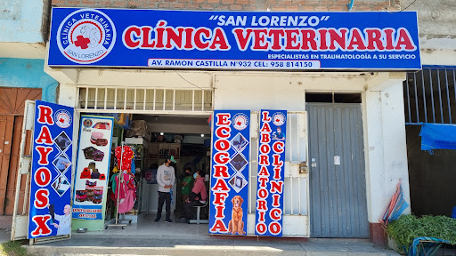 Clinica Veterinaria San Lorenzo