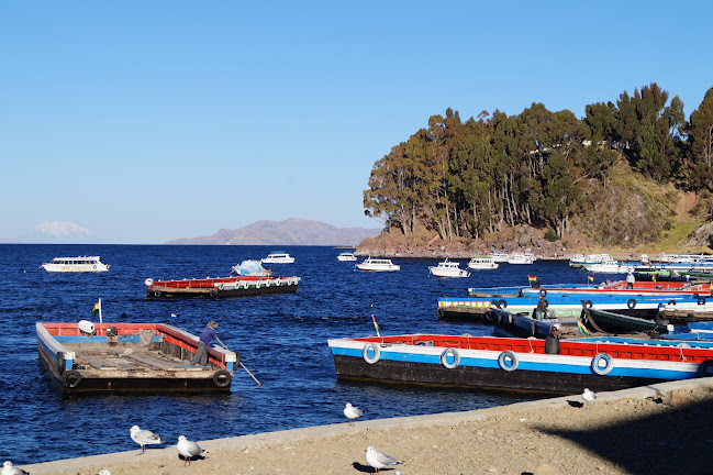 Comentarii opinii despre Titicaca