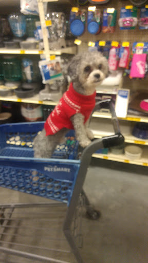 Pet Supply Store «PetSmart», reviews and photos, 842 Dawsonville Hwy, Gainesville, GA 30501, USA