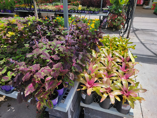 Home Improvement Store «The Home Depot», reviews and photos, 1590 W 49th St, Hialeah, FL 33012, USA