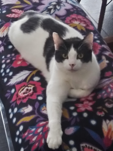 Shopping Mall «Eagan Town Centre», reviews and photos, 1276 Town Centre Dr, Eagan, MN 55123, USA