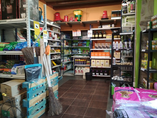 iSGOA Express en Arenas de Iguña, Cantabria