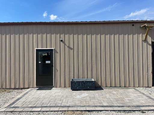 Galas Paws