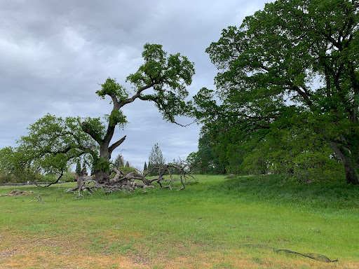 Museum «Maidu Museum & Historic Site», reviews and photos, 1960 Johnson Ranch Dr, Roseville, CA 95661, USA