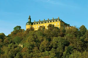 Schloss Friedrichstein image