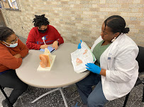 Bria's Graduate Anatomy Tutoring - Photo 4 - Car repair in , Dallas