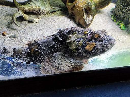 Aquarium «Biomes Marine Biology Center», reviews and photos, 6640 Post Rd, North Kingstown, RI 02852, USA