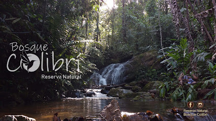Bosque Colibrí - Reserva Natural