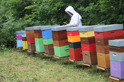 Apiculture Pierre TETTAMANTI à Neufchef