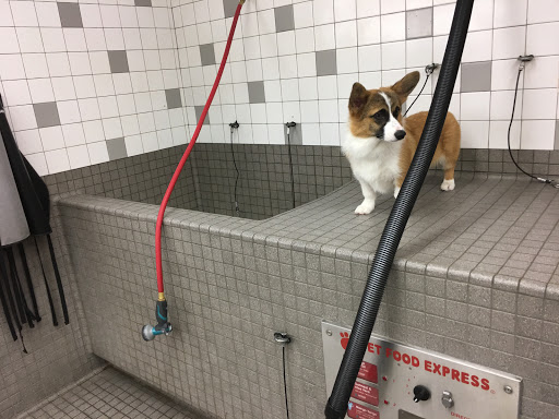 Pet Supply Store «Pet Food Express», reviews and photos, 15466 Los Gatos Blvd, Los Gatos, CA 95032, USA