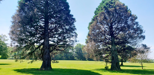 Tourist Attraction «Blithewold Mansion, Gardens & Arboretum», reviews and photos, 101 Ferry Rd, Bristol, RI 02809, USA