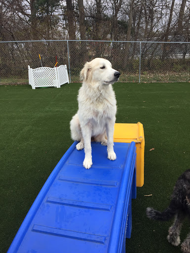 Pet Store «Happy, Clean and Smart», reviews and photos, 5700 W Kilgore Ave, Muncie, IN 47304, USA