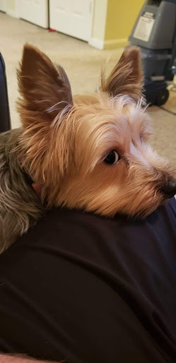 Pet Supply Store «PetSmart», reviews and photos, 2300 Gary Farm Blvd #600, Bowling Green, KY 42104, USA