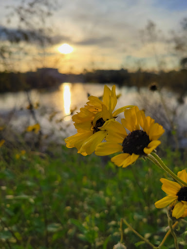 Park «Haster Basin Recreational Park», reviews and photos, 12952 Lampson Ave, Garden Grove, CA 92840, USA