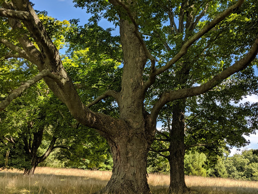 History Museum «Eustis Estate Museum and Study Center», reviews and photos, 1424 Canton Ave, Milton, MA 02186, USA