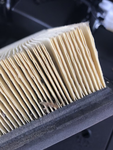 Lexus Dealer «Lexus of North Miami», reviews and photos, 14100 Biscayne Blvd, North Miami, FL 33181, USA