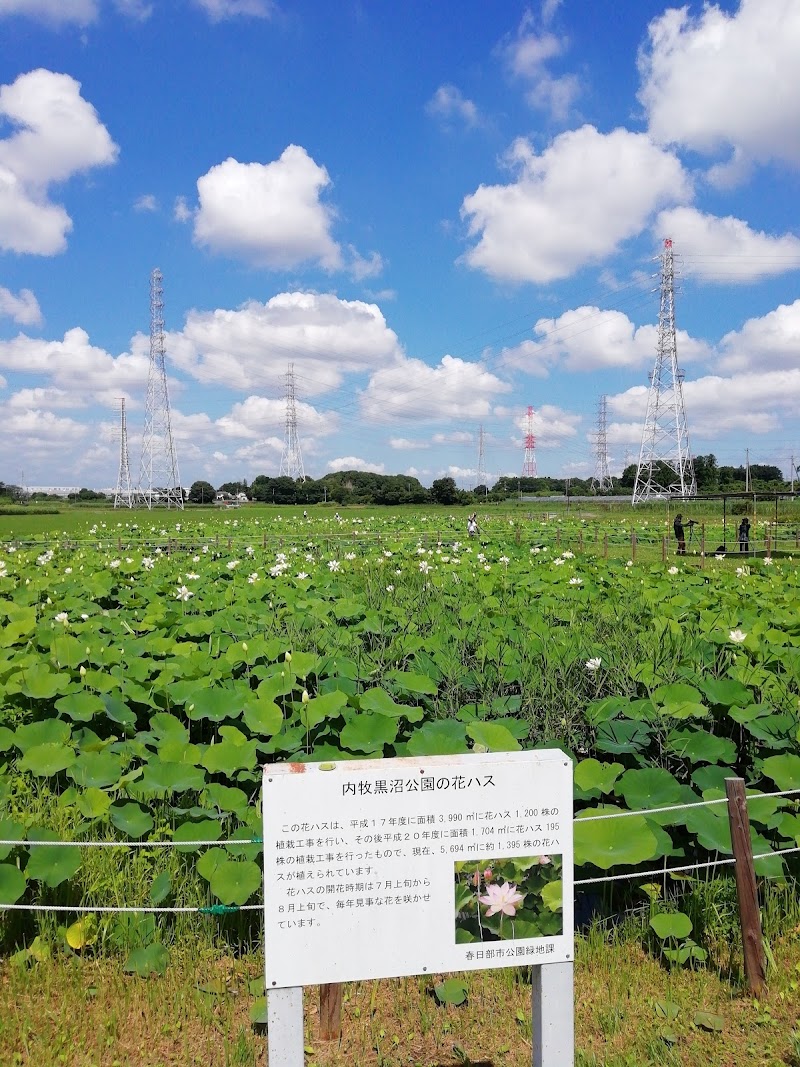 内牧黒沼公園