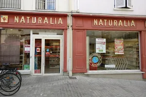 Naturalia image