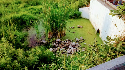 Gym «Wheeling Park District», reviews and photos, 333 W Dundee Rd, Wheeling, IL 60090, USA