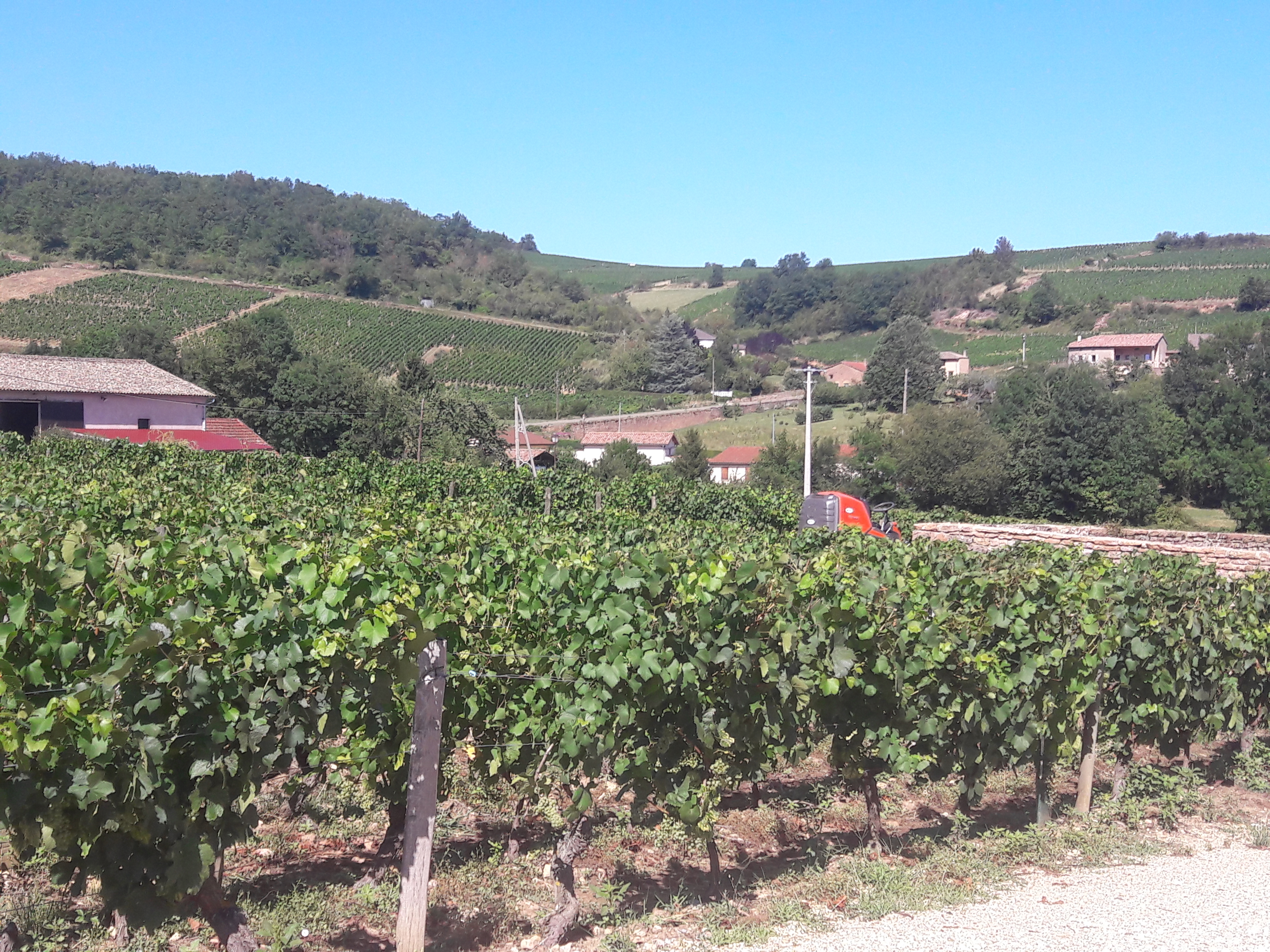 Photo n° 3 de l'avis de Rene.a fait le 17/08/2019 à 18:54