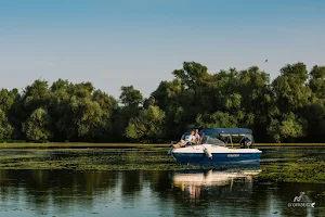 Excursii Delta Dunarii | Trasee si destinatii deosebite image