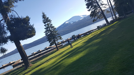 National Forest «Umpqua National Forest», reviews and photos, 1121 Houser Ct, Idleyld Park, OR 97447, USA