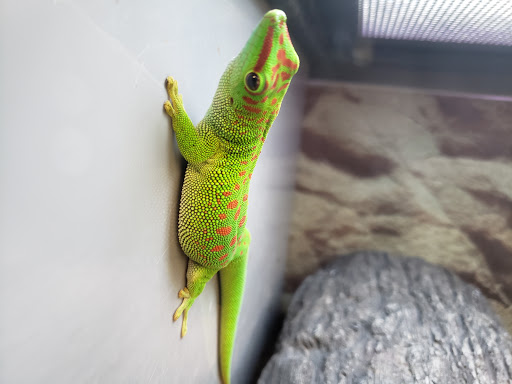 Pet Supply Store «Petco Animal Supplies», reviews and photos, 1337 N National Rd, Columbus, IN 47201, USA