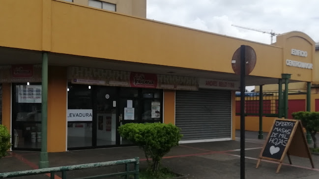 Teléfono de Distribuidora Insumos Repostería Pastelería LA ARAUCANÍA