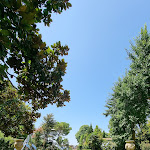 Photo n°6 de l'avis de O..e fait le 23/07/2023 à 14:31 sur le  San Clemente Palace Kempinski Venice à Venice