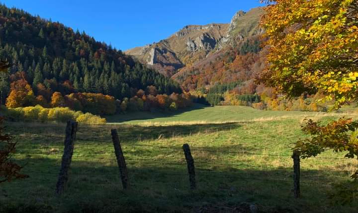 Photo n° 1 de l'avis de Gérard.e fait le 25/02/2024 à 14:47