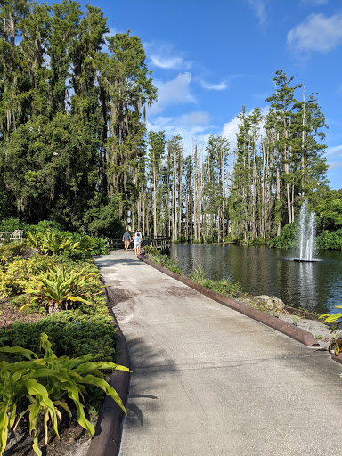 Resort «Saddlebrook Resort», reviews and photos, 5700 Saddlebrook Way, Wesley Chapel, FL 33543, USA